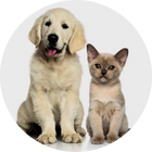 Állateledel, felszerelés 