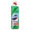 Domestos Protection Eucalyptus & Wild Mint sűrű fertőtlenítő hatású tisztítószer 700 ml