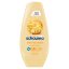 Schwarzkopf Schauma Q10 hajerősítő hajbalzsam 250 ml