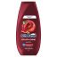 Schauma Color Shine sampon 250ml