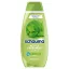 Schauma frissítő csalán sampon 400 ml