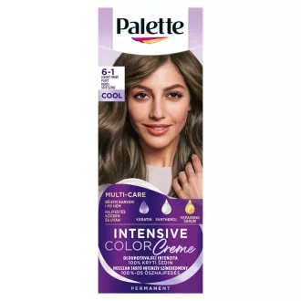 Palette ICC 6-1 Hűvös sötétszőke
