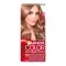 Garnier C. S. krémhajfesték 8.12 Dark Roseblond