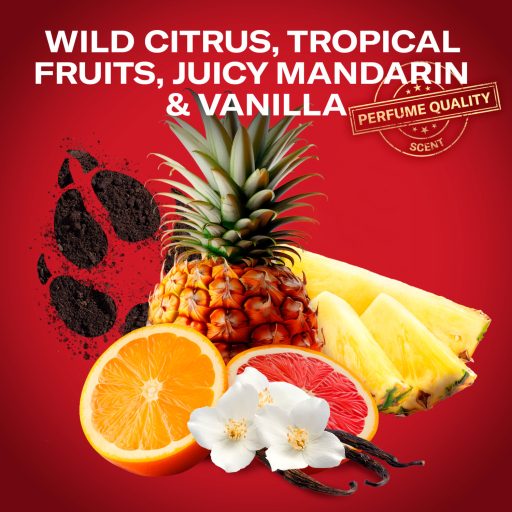 Old Spice deo spray 150ml Wolfthorn