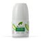 Dr. Organic Bioactive Skincare alumíniummentes golyós dezodor bio aloe verával 50 ml