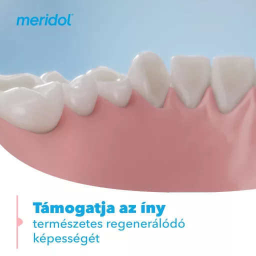 meridol Parodont Expert fogkrém 75 ml