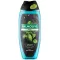 Palmolive tusfürdő 500ml Revitalizing férfi