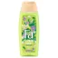 Fa Flower Burst tusfürdő hosszantartó frissítő bazsarózsa, bazsalikom és borostyán illattal 250 ml