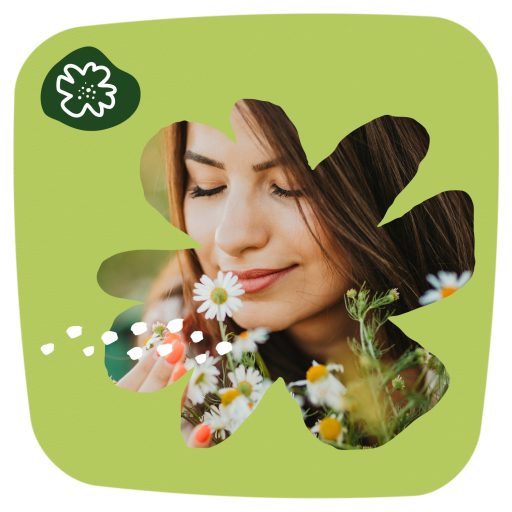 Naturella X Normal Camomile Tisztasági Betét44
