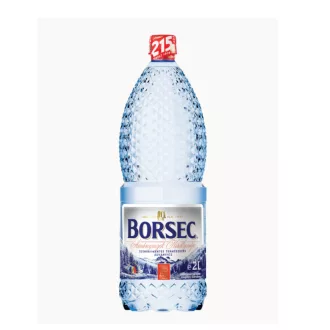 Borsec ásványvíz 2l szénsavmentes 