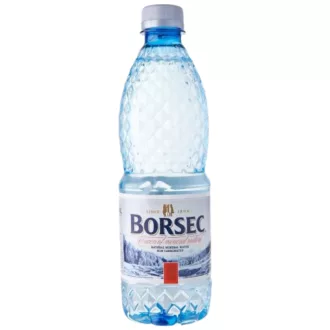 Borsec ásványvíz 2l szénsavmentes 