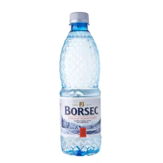 Borsec ásványvíz 0,5l szénsavmentes 