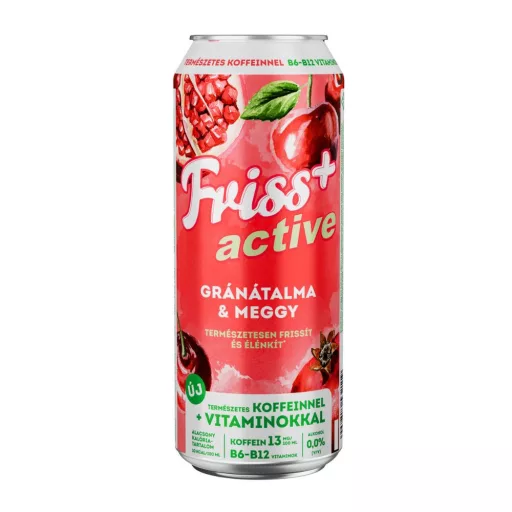 Borsodi Friss 0,0% gránátalma-meggy ízű üdítőital és alkoholmentes malátaital keveréke 0,5 l