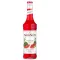 Monin szirup 250ml görögdinnye