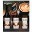 Monin szirup 3x250ml kávé szett karamell, kókusz, csokis süti