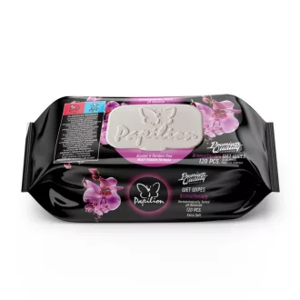 Papilion nedves törlőkendő 120db-os Aromatherapy