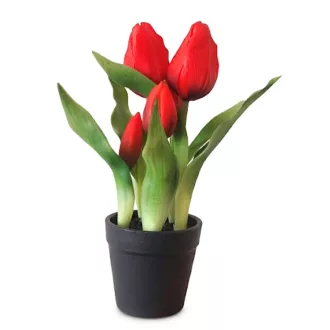 Művirág cserepes gumi tulipán - piros