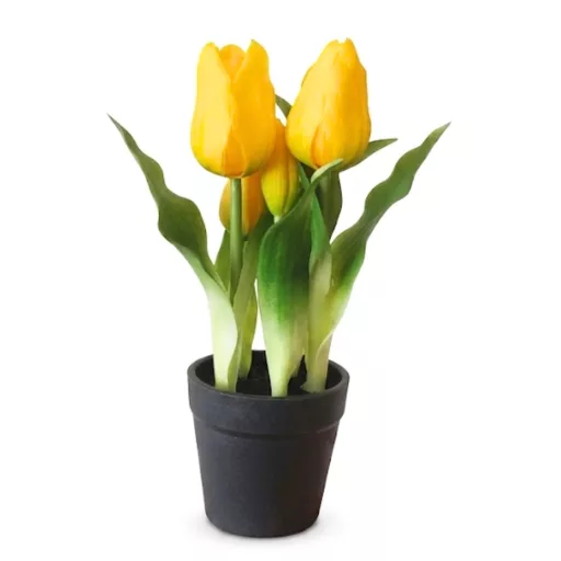 Művirág cserepes gumi tulipán - citromsárga