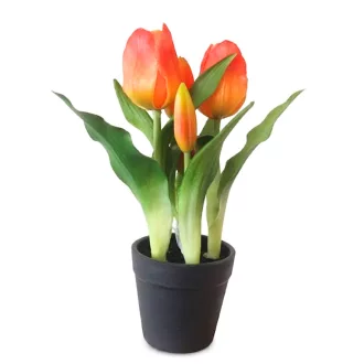 Művirág cserepes gumi tulipán - narancssárga