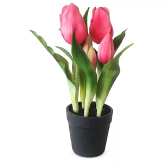 Művirág cserepes gumi tulipán - pink