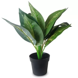 Műnövény cserepes Dieffenbachia jellegű 