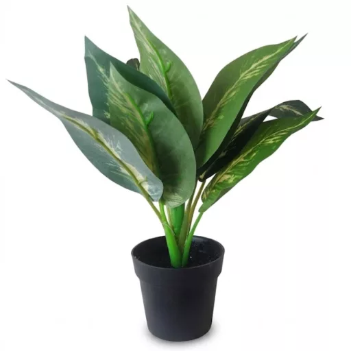 Műnövény cserepes Dieffenbachia jellegű 