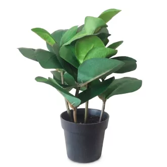 Műnövény cserepes Ficus elastica jellegű