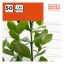 Black+Decker növénykötöző gyűrű 50db PE 2.8x0.1x4cm  BL 22g