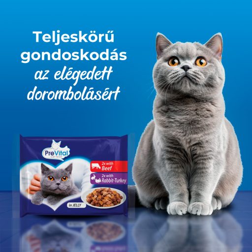 PreVital teljes értékű állateledel felnőtt macskák számára aszpikban 4 x 100 g