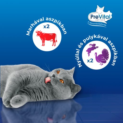 PreVital teljes értékű állateledel felnőtt macskák számára aszpikban 4 x 100 g