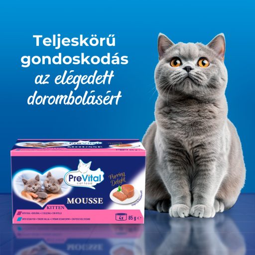 PreVital Mousse teljes értékű állateledel kölyökmacskák számára 4 x 85 g
