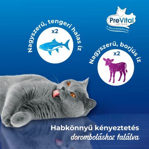 PreVital Mousse teljes értékű állateledel kölyökmacskák számára 4 x 85 g