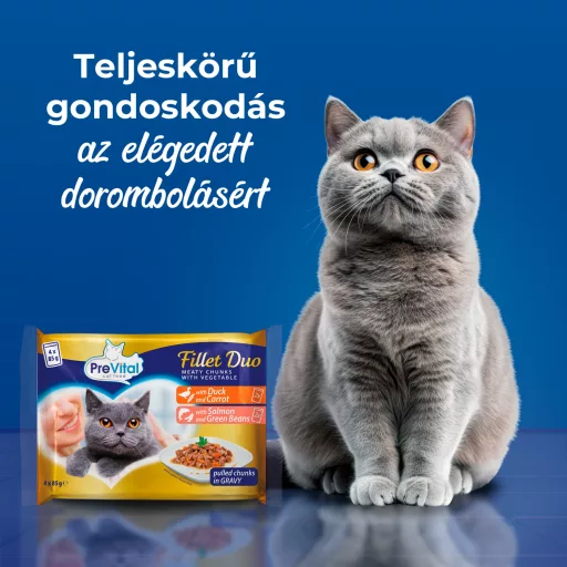 PreVital Fillet Duo teljes értékű állateledel felnőtt macskáknak tépett falatok szószban 4 x 85 g