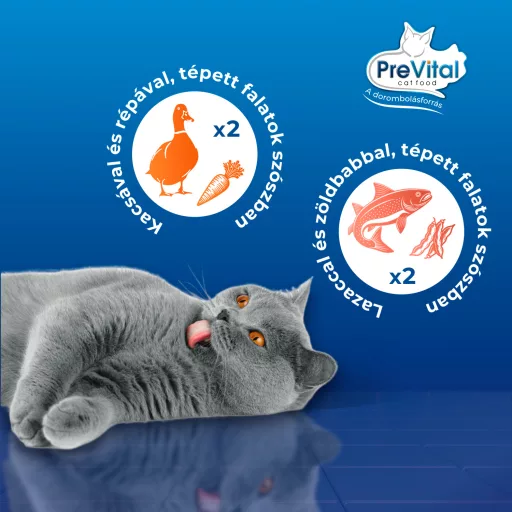 PreVital Fillet Duo teljes értékű állateledel felnőtt macskáknak tépett falatok szószban 4 x 85 g