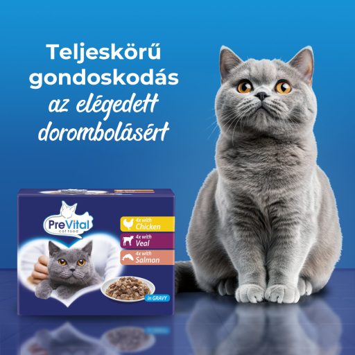 PreVital teljes értékű állateledel felnőtt macskák számára szószban 12 x 100 g