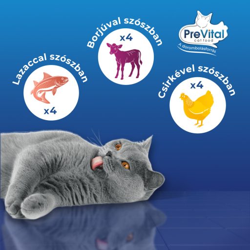 PreVital teljes értékű állateledel felnőtt macskák számára szószban 12 x 100 g