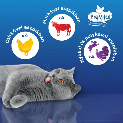 PreVital teljes értékű állateledel felnőtt macskák számára aszpikban 12 x 100 g