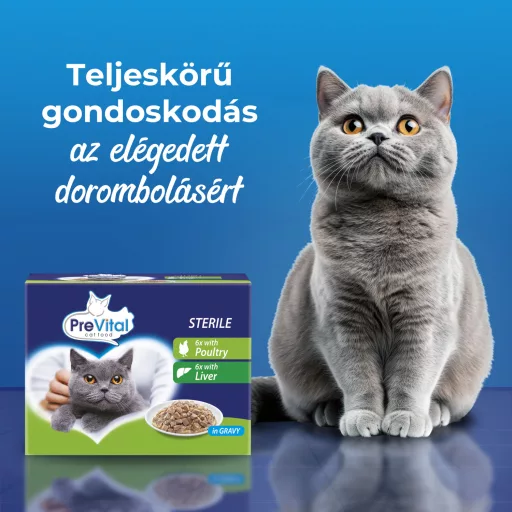 PreVital teljes értékű állateledel felnőtt, ivartalanított macskák számára szószban 12 x 100 g