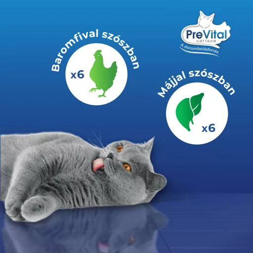 PreVital teljes értékű állateledel felnőtt, ivartalanított macskák számára szószban 12 x 100 g