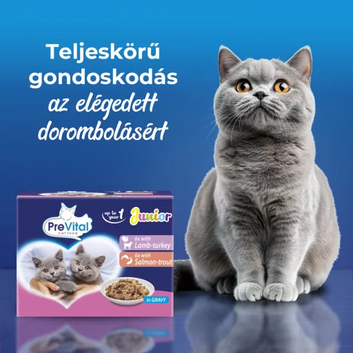 PreVital Junior teljes értékű állateledel kölyökmacskák számára szószban 12 x 100 g