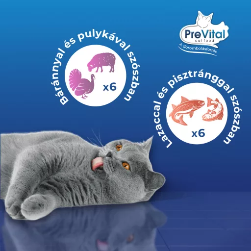 PreVital Junior teljes értékű állateledel kölyökmacskák számára szószban 12 x 100 g