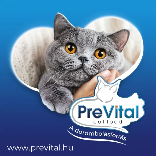 PreVital teljes értékű állateledel felnőtt, ivartalanított macskák számára marhával szószban 415 g