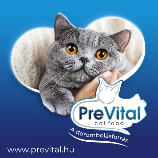 PreVital teljes értékű állateledel felnőtt macskák számára pulykával és báránnyal zselében 415 g 