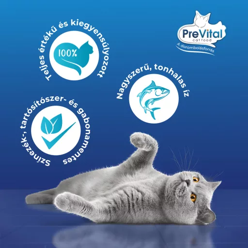 PreVital Mousse teljes értékű állateledel felnőtt macskák számára tonhallal 85 g