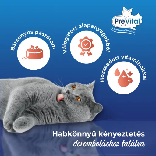 PreVital Mousse teljes értékű állateledel felnőtt macskák számára lazaccal 85 g