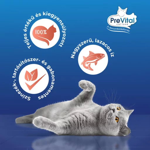 PreVital Mousse teljes értékű állateledel felnőtt macskák számára lazaccal 85 g