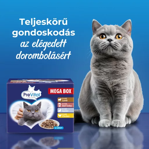 PreVital teljes értékű állateledel felnőtt macskák számára szószban 24 x 100 g