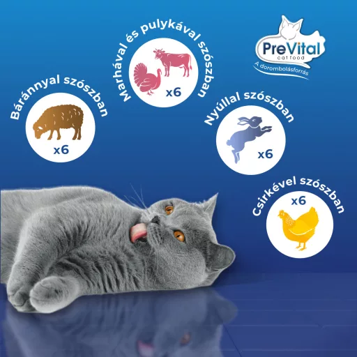 PreVital teljes értékű állateledel felnőtt macskák számára szószban 24 x 100 g