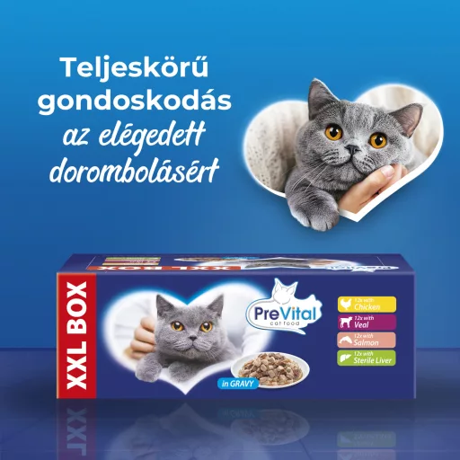 PreVital teljes értékű állateledel felnőtt macskák számára szószban 48 x 100 g