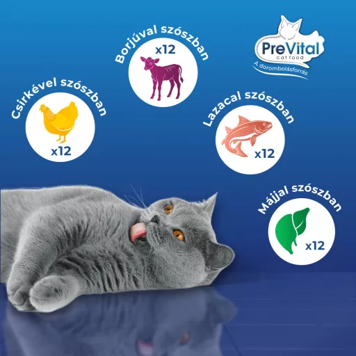 PreVital teljes értékű állateledel felnőtt macskák számára szószban 48 x 100 g